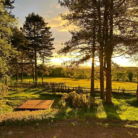 Au Ch'alex Maison d'hôtes Busset